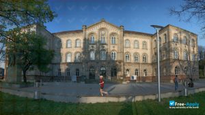 Georg August University of Göttingen - Tuition-Free Universities in Germany for International Students